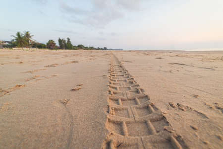 Motorcycle tire tracks on the beachの写真素材