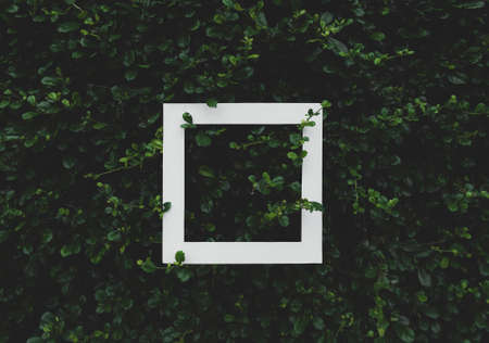 White Frame On Green Grass for Backgroundの写真素材