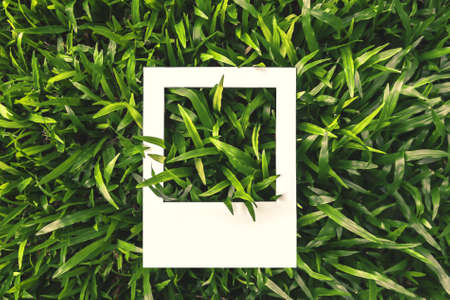 White Frame On Green Grass for Backgroundの写真素材