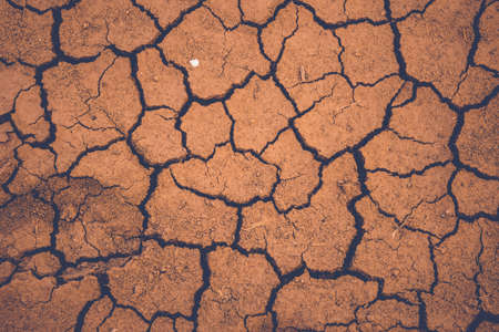 Dried cracked earth soil ground texture background.の写真素材