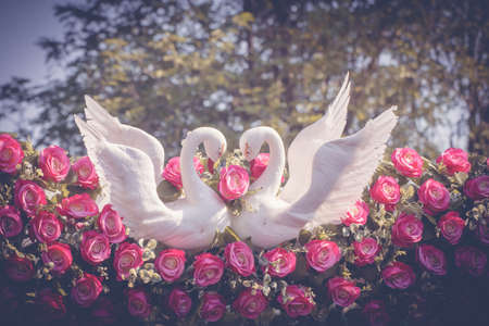 Wedding. Swans in love and Flower arrangement at the wedding ceremony on Vintage style.の写真素材