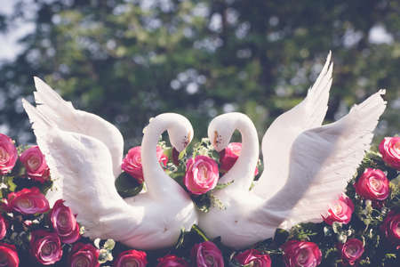 Close Up Wedding. Swans in love and Flower arrangement at the wedding ceremony on Vintage style.の写真素材
