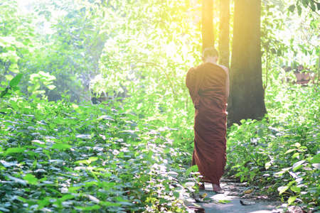 Novice walking Meditation in the Forest buddhist temple in Thailand,Meditation to find peace.の写真素材