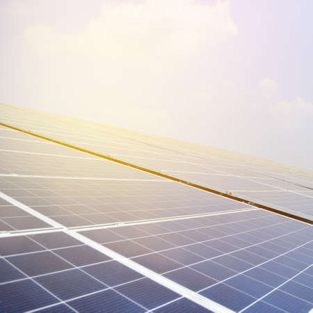 Solar cell in solar farm with green tree and sun lighting reflect, Alternative energy and...