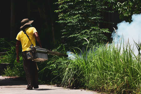 Health worker  Fumigation fogging mosquitoes carriers of dengue Zika Virus or Malaria.の写真素材