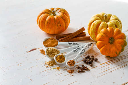 Selection of spices for christmas and thanksgiving, white wood background, copy spaceの写真素材