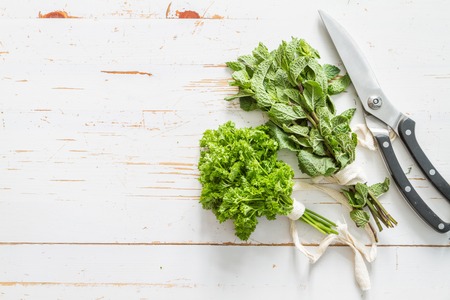 Selection of herbs on white wood backgroundの写真素材