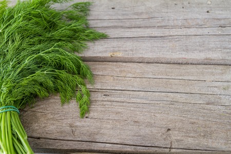 Dill bunch on rustic wood background, closeup, copy spaceの写真素材