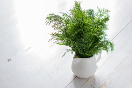 Fresh dill in jar, white wood background, copy spaceの写真素材