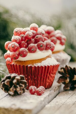 Christmas cupcake with red berries, rustic wood background, tonedの写真素材