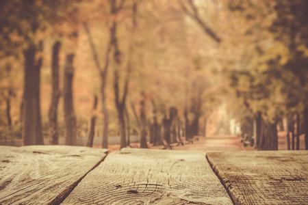 Autumn background with wood table and park, toned, copy spaceの写真素材