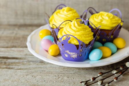 Easter cupcakes with eggs and flaffy willow, wood background
