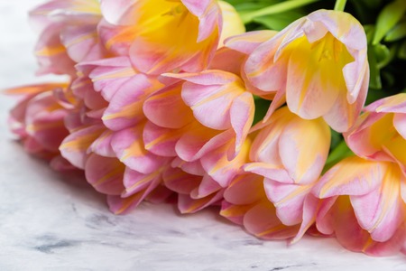 Mothers day card with coffee, presentの写真素材