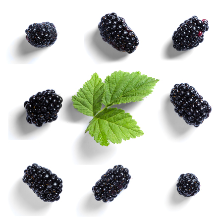 Blackberry pattern isolated on whiteの写真素材