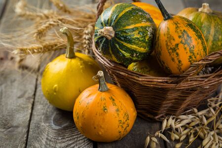 Thanksgiving concept - decorations with pumpkins