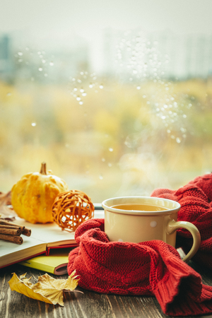 Autumn tea with scarf and leaves in front of windowの写真素材