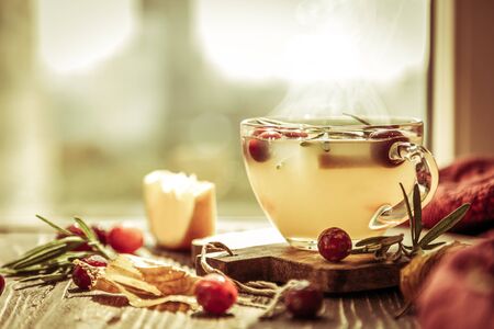 Autumn crunberry, rosemary and orange steaming tea in front of windowの写真素材
