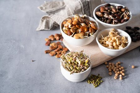 Selection of sprouted legumes - beans, chickpea, mung, rustic backgroundの写真素材