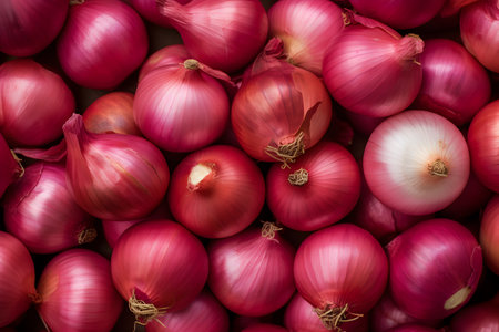 Food background - onion background, top viewの素材