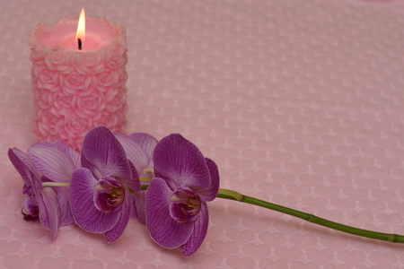 Burning candle and Orchid on textile background with heartsの写真素材