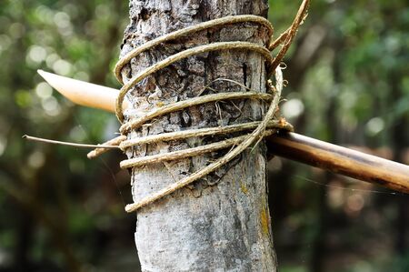 Fuel from the vine の写真素材