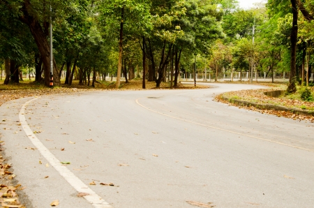 Winding Road in Thailandの写真素材