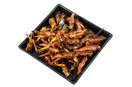 Fried grasshoppers on white backgroundの写真素材