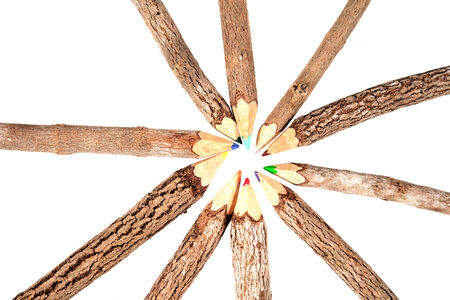 color pencil made of branches isolate on whiteの写真素材