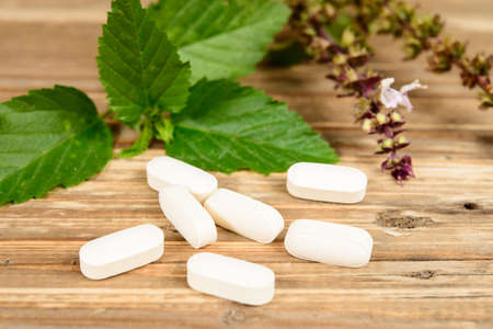 herb drug with green herbal leaf
