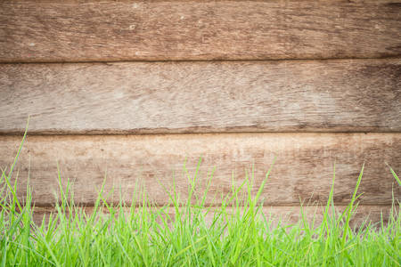 grass on wood の写真素材
