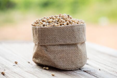 Soybeans in sackの写真素材