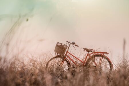 beautiful landscape image with Bicycle at sunset ; pastel filtered tone styleの写真素材