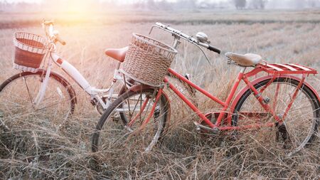 beautiful landscape image with two vintage Bicycle at summer grass field ; vintage filtered tone styleの写真素材