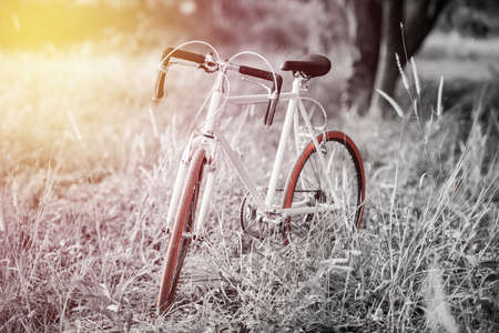 beautiful landscape image with sport vintagr Bicycle at sunset ; vintage filterstyleの写真素材