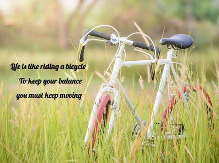 life quote. Inspirational quote by Albert Einstein on image Sport Vintage Bicycle with green grass...