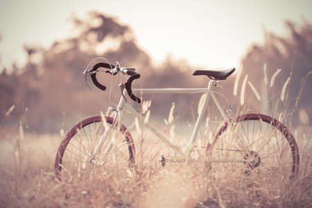 Sport Vintage Bicycle with Summer grass field ; vintage filter styleの写真素材