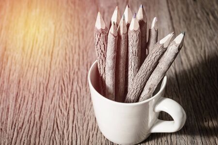 color pencil made of branches in coffee cupの写真素材