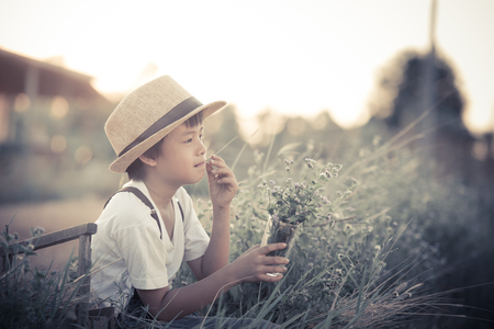 portrait kids keeping flowergrass in a farm,Boy in meadow. travel and sunset in vintage style.の写真素材