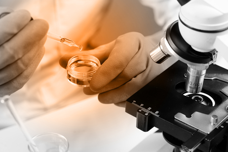 Hands of clinician holding tools during scientific experiment in laboratoryの写真素材
