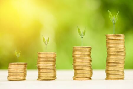 Business Finance and Money concept, Money Gold coin stack growing graph with green bokeh...