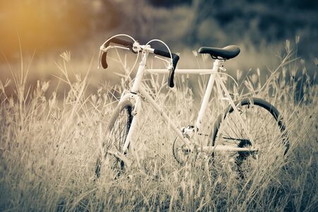 beautiful image with sport vintage Bicycle at grass field ; vintage filter styleの写真素材