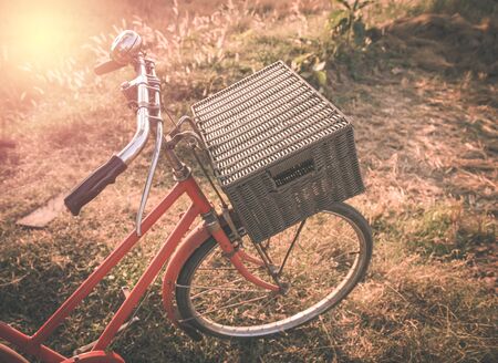 Vintage Bicycle with Summer grass field vintage filter style,classic bicycle,old bicycle style for greeting Cards ,post cardの写真素材