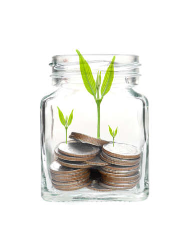 coins with seed in clear bottle on white background,Business investment growth concept,saving...