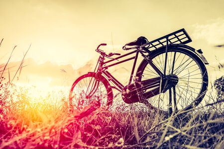 Landscape picture Vintage Bicycle with Summer grass field at sunset ; vintage filter style.classic bicycle,old bicycle style for greeting Cards ,post cardの写真素材
