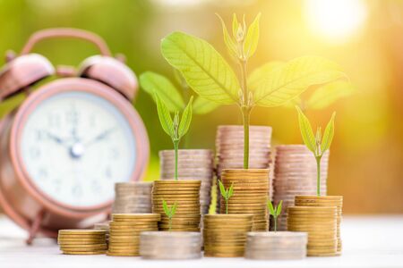 Business Finance and Money concept, Money coin stack growing graph with green bokeh background,Trees growing on coinの写真素材