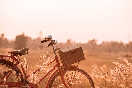 beautiful landscape image with Bicycle at summer grass field.classic bicycle,old bicycle style for greeting Cards ,post cardの写真素材