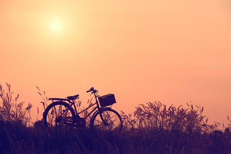 Landscape picture Vintage Bicycle with Summer grass field at sunset ; vintage filter style.classic bicycle,old bicycle style for greeting Cards ,post cardの写真素材