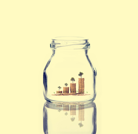 Investment growth concept,Golden coins and seed in clear jar.の写真素材