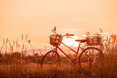 beautiful landscape image with Bicycle at summer grass field.classic bicycle,old bicycle style for...