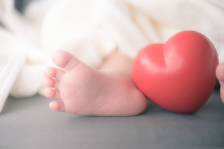 baby's feet with a red heartの写真素材